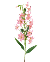 Un unico stelo del fiore artificiale Giglio fucsia da 82 cm, con vivaci fiori di giglio color fucsia con macchie scure, foglie verdi e boccioli su uno sfondo bianco.