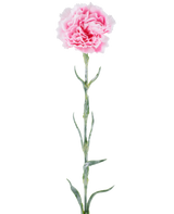 Fiore artificiale: garofano di 68 cm, rosa, con petali rosa increspati su un lungo stelo verde, isolato su sfondo bianco.