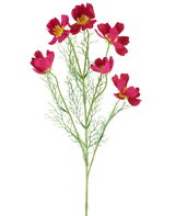 Il fiore artificiale Cosmo fucsia da 78 cm è composto da vivaci fiori cosmo di colore fucsia con centri gialli e delicate foglie verdi piumate, su uno sfondo bianco.