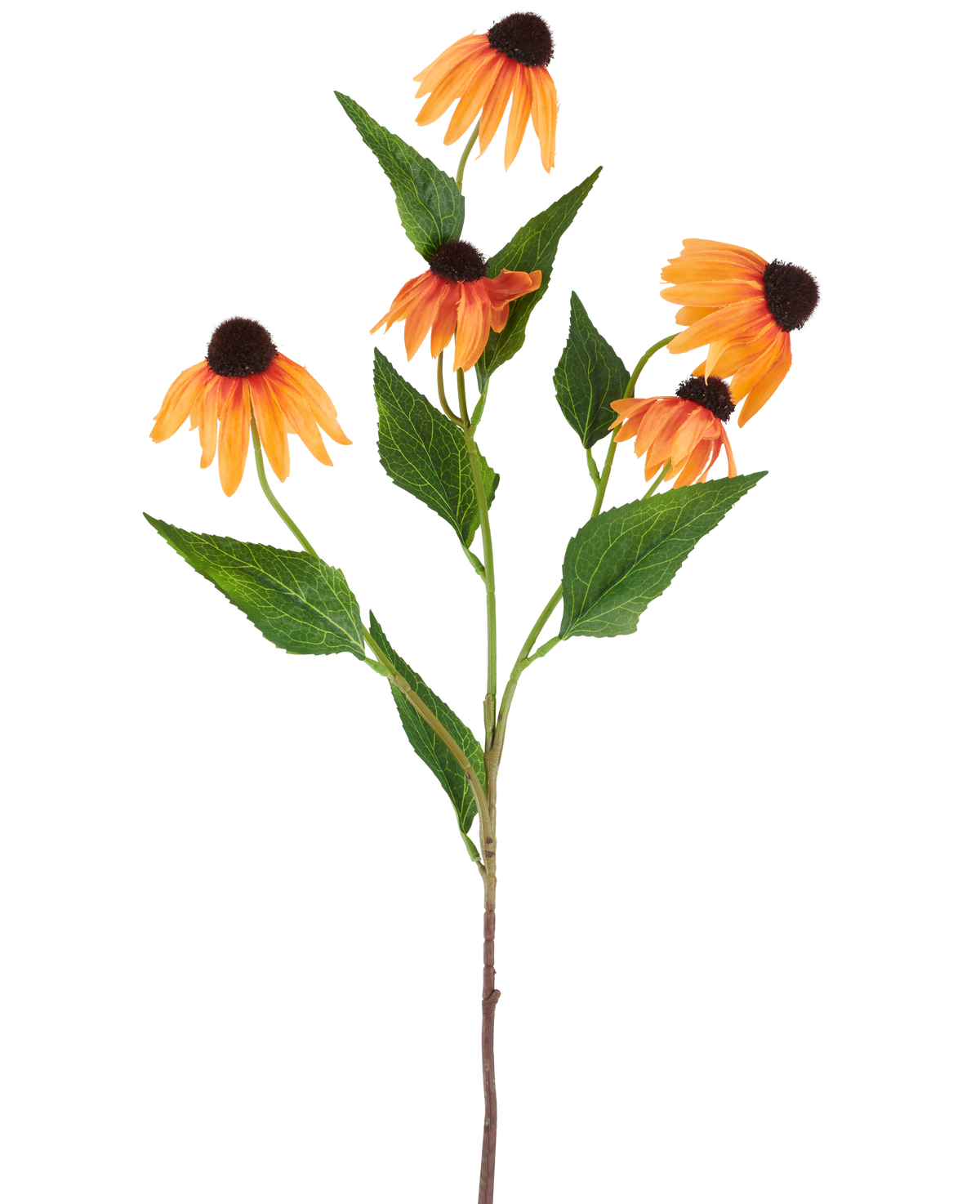 Un singolo fiore artificiale di Echinacea di 75 cm, arancione, con cinque vivaci coneflower arancioni, ciascuno con un centro marrone scuro e circondato da foglie verdi, su uno sfondo bianco semplice.