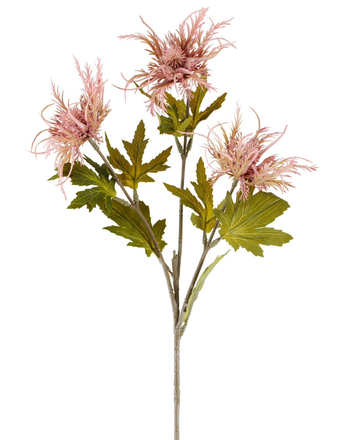 Un unico stelo di fiore artificiale Armeria maritima, rosa antico di 67 cm, con diverse foglie verdi e fiori rosa antico a tre punte, raffigurati su uno sfondo bianco semplice.