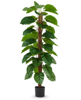 La pianta artificiale Epipremnum aureum 180 cm ha grandi foglie verdi lucide disposte lungo uno stelo centrale marrone e viene fornita in un piccolo vaso nero, raffigurato su un semplice sfondo bianco.
