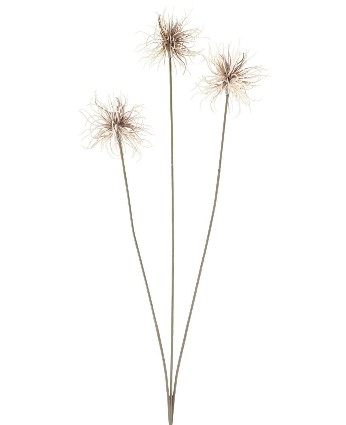 Tre fiori artificiali del genere Xanthium in crema e marrone, ciascuno con steli sottili e lunghi di 64 cm, disposti a forma di ventaglio su uno sfondo bianco semplice.