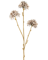 Tre steli marroni del fiore artificiale Mini Allium 60 cm crema/marrone si estendono verso l'alto, ciascuno con un grappolo rotondo di piccoli boccioli crema e marroni all'estremità su uno sfondo bianco semplice. Il tutto sembra minimalista e naturale.