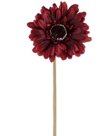Il fiore artificiale Gerbera bordeaux da 53 cm è composto da una gerbera artificiale in una ricca tonalità rosso scuro con petali a strati e un cuore marrone, attaccata a un lungo stelo dritto e di colore chiaro e presentata su un semplice sfondo bianco.