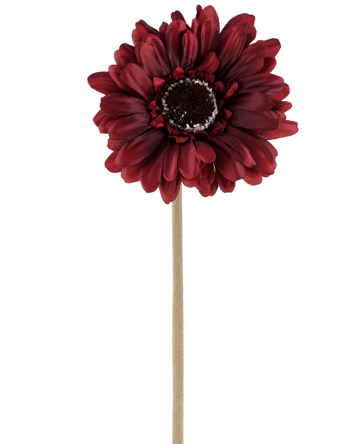 Il fiore artificiale Gerbera bordeaux da 53 cm è composto da una gerbera artificiale in una ricca tonalità rosso scuro con petali a strati e un cuore marrone, attaccata a un lungo stelo dritto e di colore chiaro e presentata su un semplice sfondo bianco.