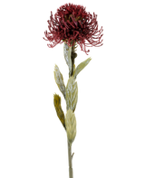 Un singolo fiore artificiale di Protea di 60 cm in colore bordeaux ha un fiore appuntito rosso scuro con foglie verdi, fotografato su uno sfondo bianco.