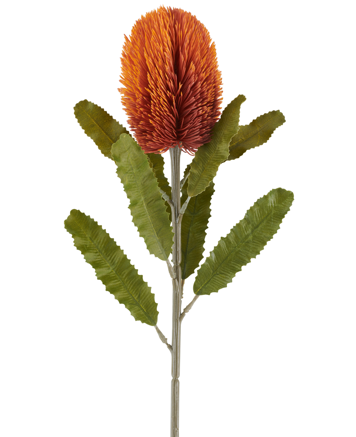 Un singolo fiore artificiale Banksia da 65 cm in arancione antico presenta un grande, appuntito, antico fiore arancione nella parte superiore di un gambo robusto, con diverse foglie verdi allungate e seghettate disposte simmetricamente lungo lo stelo, il tutto su uno sfondo bianco.