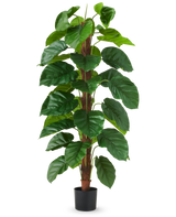 La pianta artificiale Epipremnum aureum 150 cm è una pianta artificiale alta con grandi foglie verdi lucide, presentata in un vaso nero su uno sfondo bianco a tinta unita.