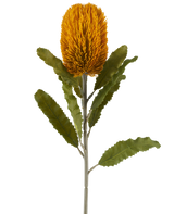 Fiore singolo artificiale di Banksia color senape, alto 65 cm, di forma cilindrica con foglie verdi seghettate su un lungo stelo, isolato su sfondo bianco.