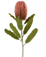 Un unico stelo del fiore artificiale Banksia 65 cm rosa antico ha un grande fiore rosa cilindrico e lunghe foglie verdi seghettate che risaltano su uno sfondo bianco.