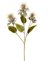 Un singolo stelo di fiore artificiale di cartamo 57 cm crema/marrone, con fiori a tre punte, rotondi, marrone chiaro e alcune foglie verdi, raffigurate su sfondo bianco.