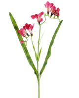 Un fiore artificiale: fresia fucsia di 56 cm, con vivaci fiori fucsia e due lunghe e sottili foglie verdi, raffigurate su sfondo bianco.