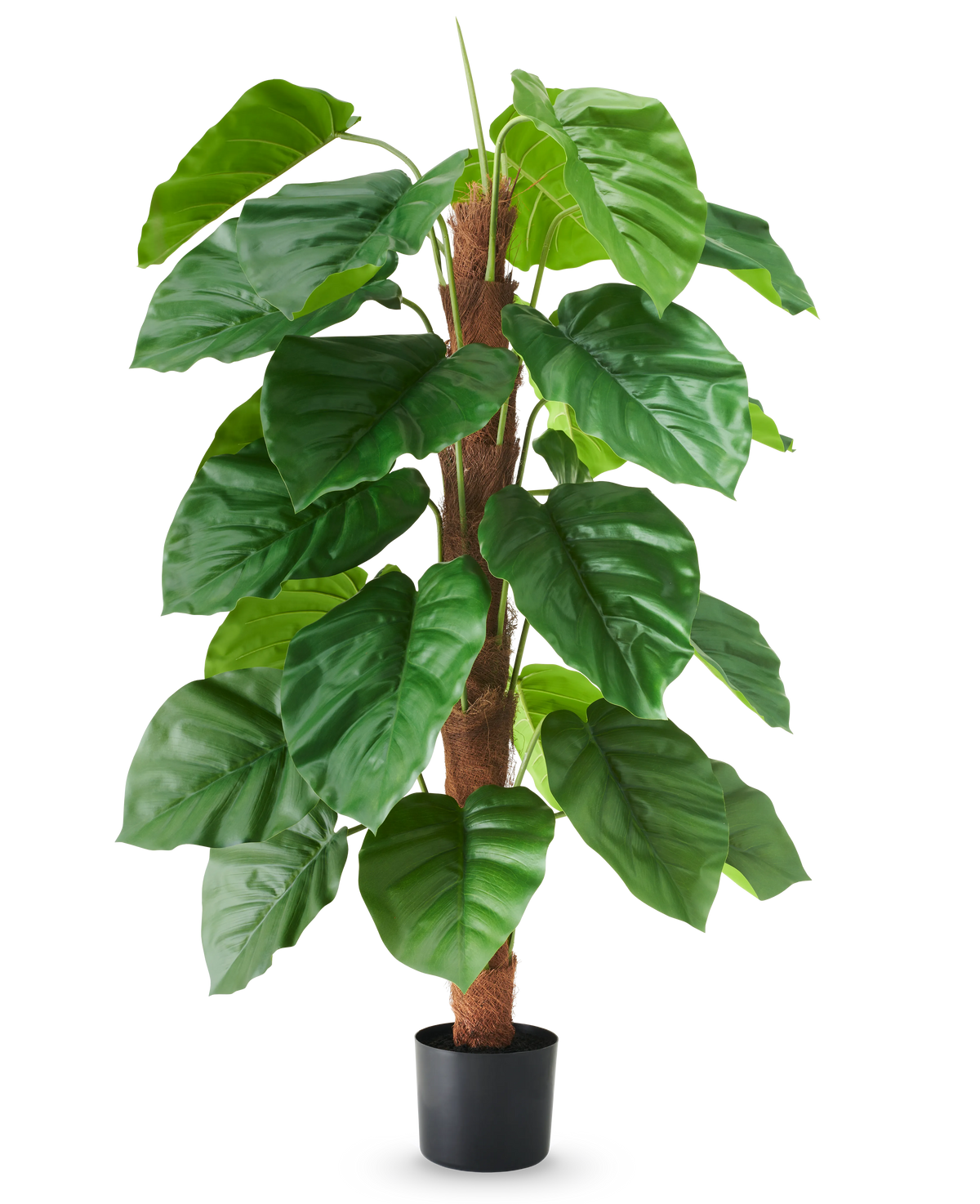 Una pianta artificiale Epipremnum aureum, alta 120 cm, con grandi foglie verdi lucide in un vaso nero, raffigurata su uno sfondo bianco semplice.