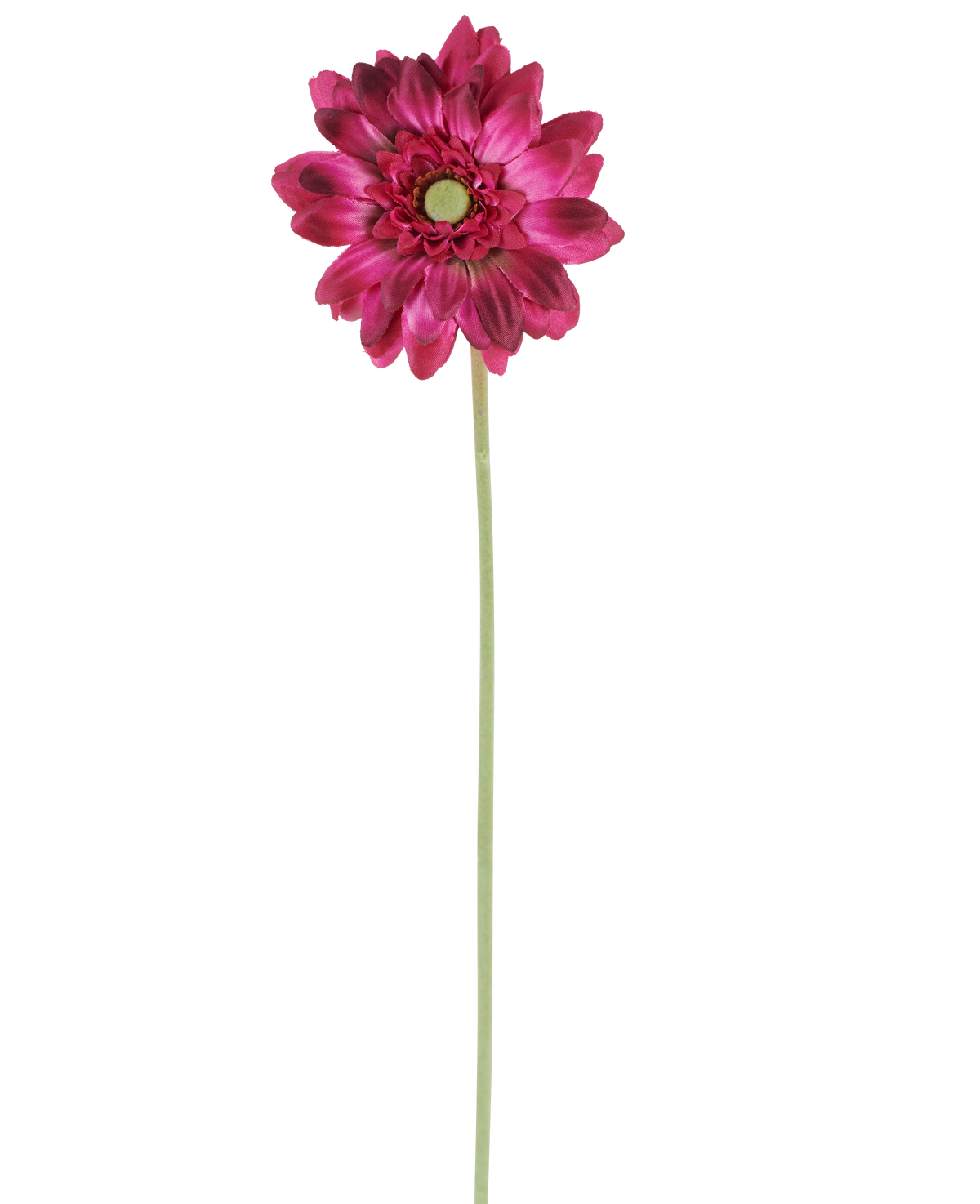 Un singolo fiore artificiale Mini Gerbera di 47 cm in rosa scuro con petali a strati e un cuore verde su uno stelo verde lungo e sottile, isolato su uno sfondo bianco.