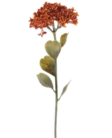Un singolo fiore di Sedum artificiale di 46 cm di colore arancio invecchiato, con mazzi di piccoli fiori rosso-arancio e alcune foglie verdi, raffigurato su sfondo bianco.