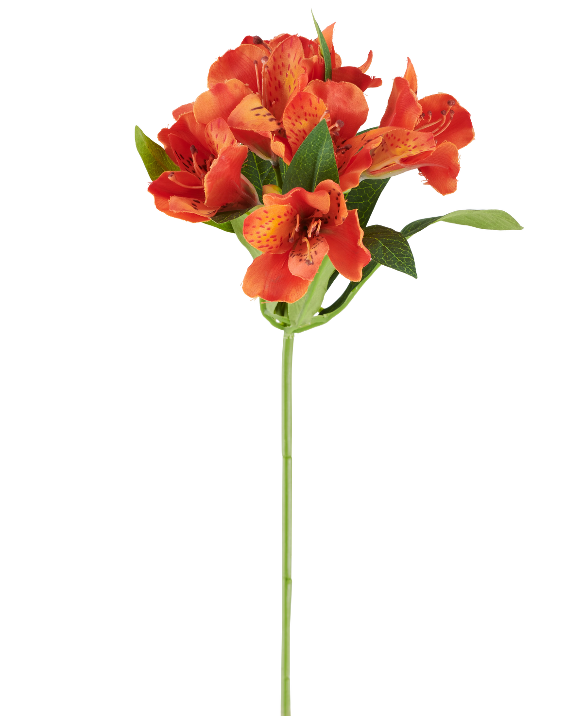 Fiore artificiale Alstroemeria, 47 cm, arancione con numerosi fiori maculati e foglie verdi su sfondo bianco.