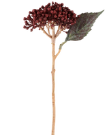 Su uno sfondo bianco è raffigurato un singolo fiore artificiale di ortensia secca di colore rosso bordeaux, lungo 38 cm, con petali secchi rosso-marroni, un grappolo di piccoli boccioli e una foglia verde su uno stelo lungo e sottile.