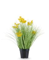 L'erba artificiale con radici e fiori di cipolla è contenuta in un vaso di plastica nera, con foglie lunghe e sottili simili a erba e mazzi di piccoli fiori gialli brillanti sulle punte. La pianta artificiale è alta 50 cm, ignifuga e si staglia su uno sfondo bianco a tinta unita.