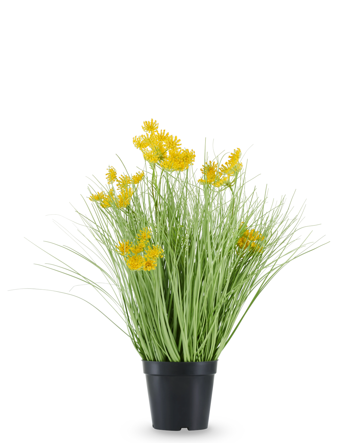 L'erba artificiale con radici e fiori di cipolla è contenuta in un vaso di plastica nera, con foglie lunghe e sottili simili a erba e mazzi di piccoli fiori gialli brillanti sulle punte. La pianta artificiale è alta 50 cm, ignifuga e si staglia su uno sfondo bianco a tinta unita.
