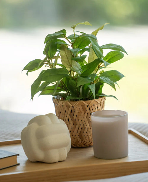 Una pianta artificiale “House Wanderer” in un vaso da 25 cm, una candela bianca e un oggetto bianco dalle forme geometriche stanno su un vassoio di legno accanto a un libro chiuso, su uno sfondo morbido.