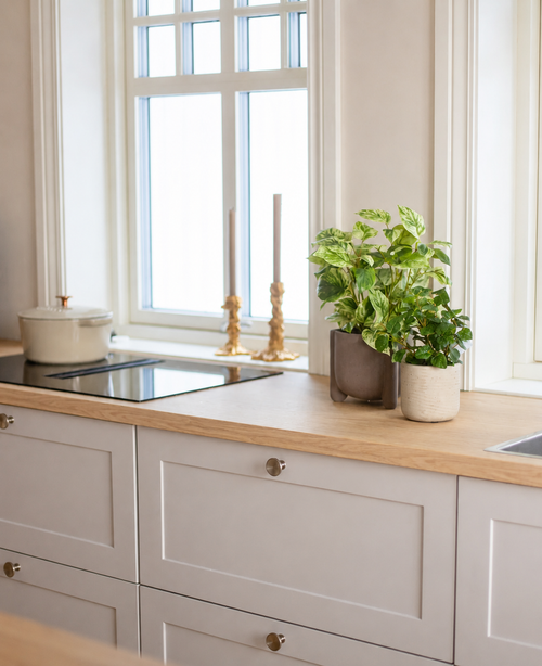 Una cucina luminosa con piani di lavoro in legno, armadi bianchi, due candelabri dorati, una padella bianca sul fornello e una grande finestra che lascia entrare la luce naturale. Lo spazio è accentuato dalla Pianta rampicante artificiale Gold verde-bianca in vaso UV 35 cm.