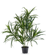 La pianta artificiale Dracaena Reflexa in vaso UV 63 cm ha foglie verdi lunghe e sottili su steli sottili, ideali per aggiungere un tocco di stile tropicale ai tuoi interni su un semplice sfondo bianco.
