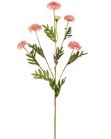 Il fiore artificiale Pompon Crisantemo 69 cm rosa ha un unico stelo con diversi fiori pompon rotondi rosa chiaro e foglie verdi simili a felci su uno sfondo bianco.