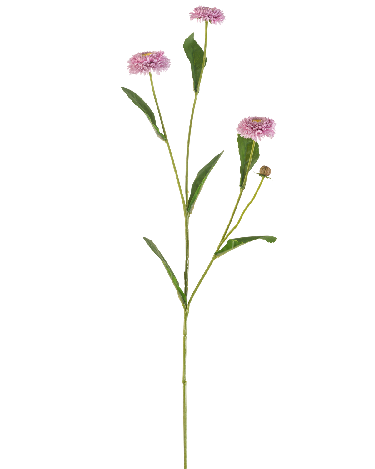 Il fiore artificiale Summer Aster 57 cm color malva ha uno stelo verde lungo e sottile con tre fiori color malva simili a margherite e foglie verdi allungate che si ramificano, il tutto su un semplice sfondo bianco.