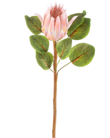 Il fiore artificiale Protea rosa da 65 cm è un singolo fiore artificiale Protea rosa con grandi foglie verdi e un lungo stelo marrone, su uno sfondo bianco semplice.