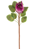 Il fiore artificiale Protea 65 cm viola ha un singolo fiore artificiale Protea viola con foglie verdi e un lungo stelo marrone, su sfondo bianco.
