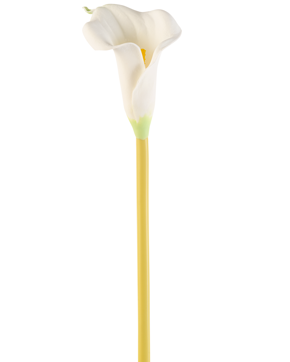 Il fiore artificiale Calla crema da 64 cm è una singola calla artificiale bianca con un lungo gambo giallo, su uno sfondo bianco semplice.