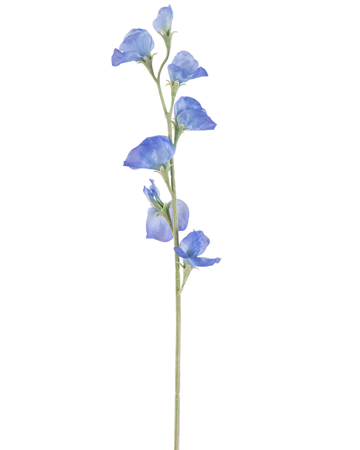 Il fiore artificiale del pisello blu da 64 cm ha un unico stelo verde sottile con diversi delicati fiori blu e boccioli verdi sparsi lungo la sua lunghezza, su uno sfondo bianco semplice.