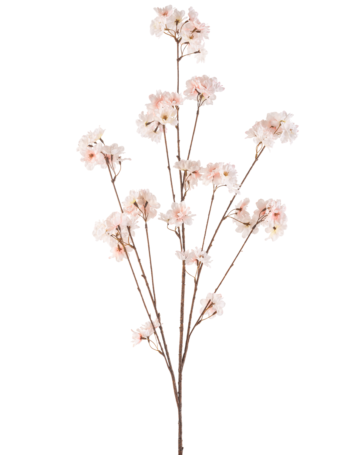 Il fiore artificiale Cherry Blossom da 130 cm ha molteplici steli sottili con mazzi di delicati fiori di ciliegio rosa chiaro su un semplice sfondo bianco.