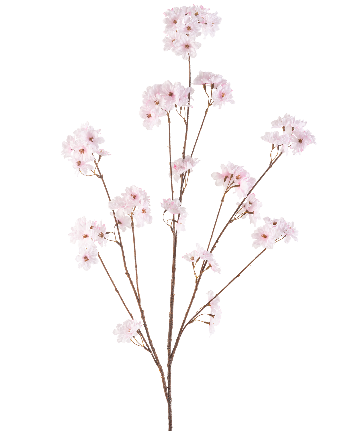 Il fiore artificiale di ciliegio rosa chiaro da 130 cm ha diversi steli sottili con mazzi di delicati fiori di ciliegio rosa chiaro, splendidamente disposti e isolati su uno sfondo bianco.