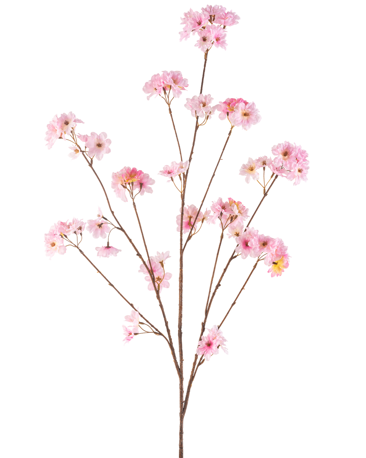 Il fiore artificiale di ciliegio rosa da 130 cm ha un unico stelo marrone che si ramifica in mazzi di delicati fiori di ciliegio rosa, bellissimi su un semplice sfondo bianco.