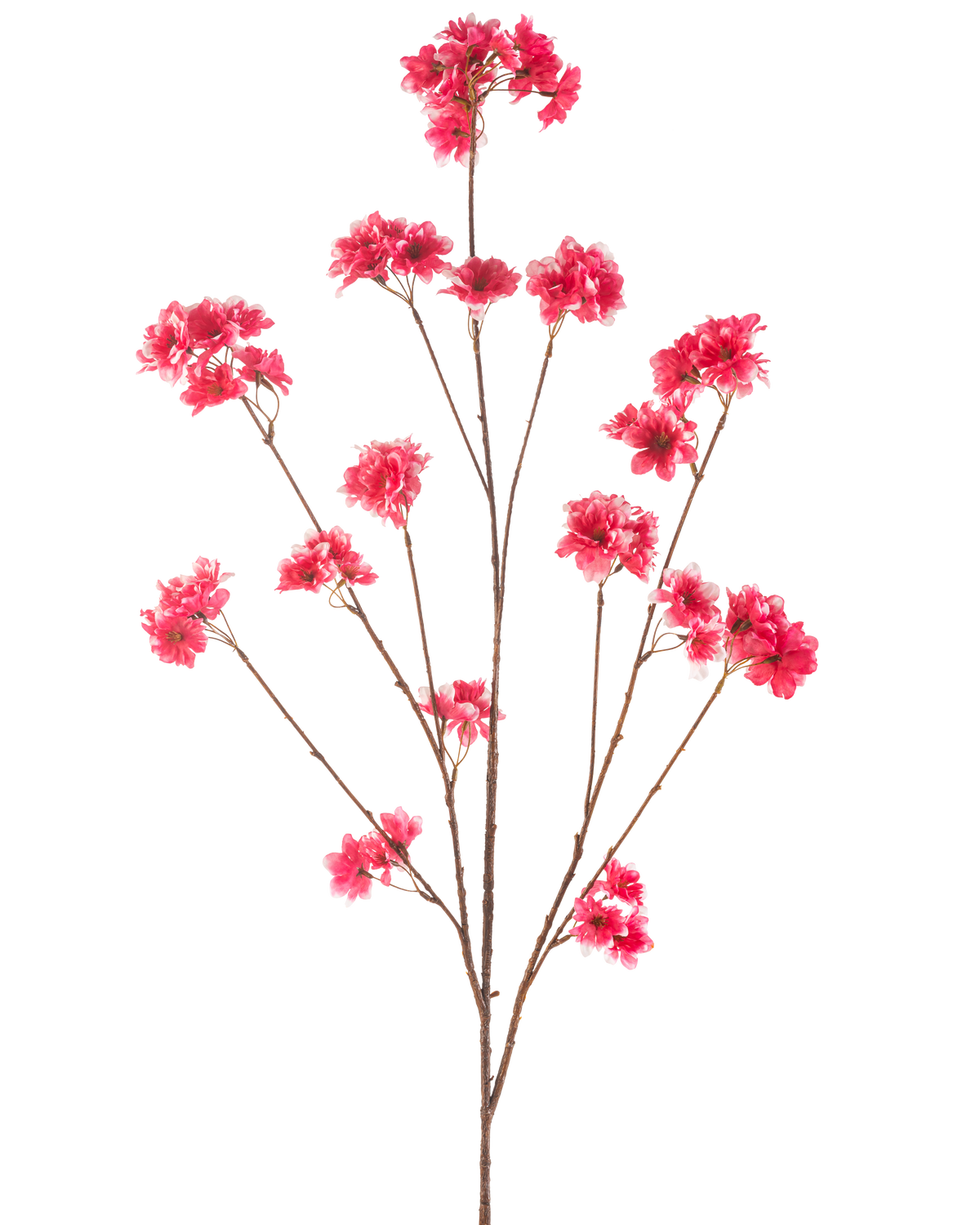 Il fiore artificiale di ciliegio fucsia da 130 cm ha un unico stelo con molteplici rami sottili marroni, ciascuno decorato con grappoli di vivaci fiori artificiali di Natale fucsia, su un semplice sfondo bianco.