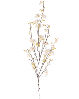 Il fiore artificiale di ciliegio color crema da 150 cm ha un ramo alto con diversi steli sottili, piccoli fiori di ciliegio bianchi e foglie verdi sparse, il tutto su uno sfondo bianco semplice.