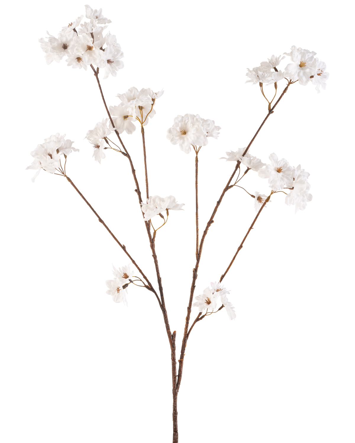 Il fiore artificiale Cherry Blossom 114 cm crema ha uno stelo marrone che si ramifica in steli più piccoli, ciascuno decorato con delicati fiori artificiali in una tonalità bianco crema, su uno sfondo bianco a tinta unita.