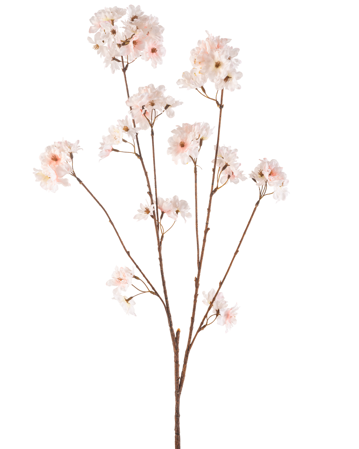 Il fiore artificiale Cherry Blossom 114 cm blush ha un unico stelo marrone con diversi rami sormontati da delicati fiori di ciliegio rosa cipria, splendidamente isolati su uno sfondo bianco.