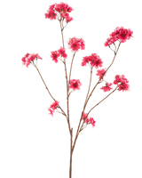 Il fiore artificiale di ciliegio fucsia da 114 cm mostra un singolo ramo marrone con più steli, ciascuno con grappoli di vivaci fiori di Natale artificiali fucsia su un semplice sfondo bianco.