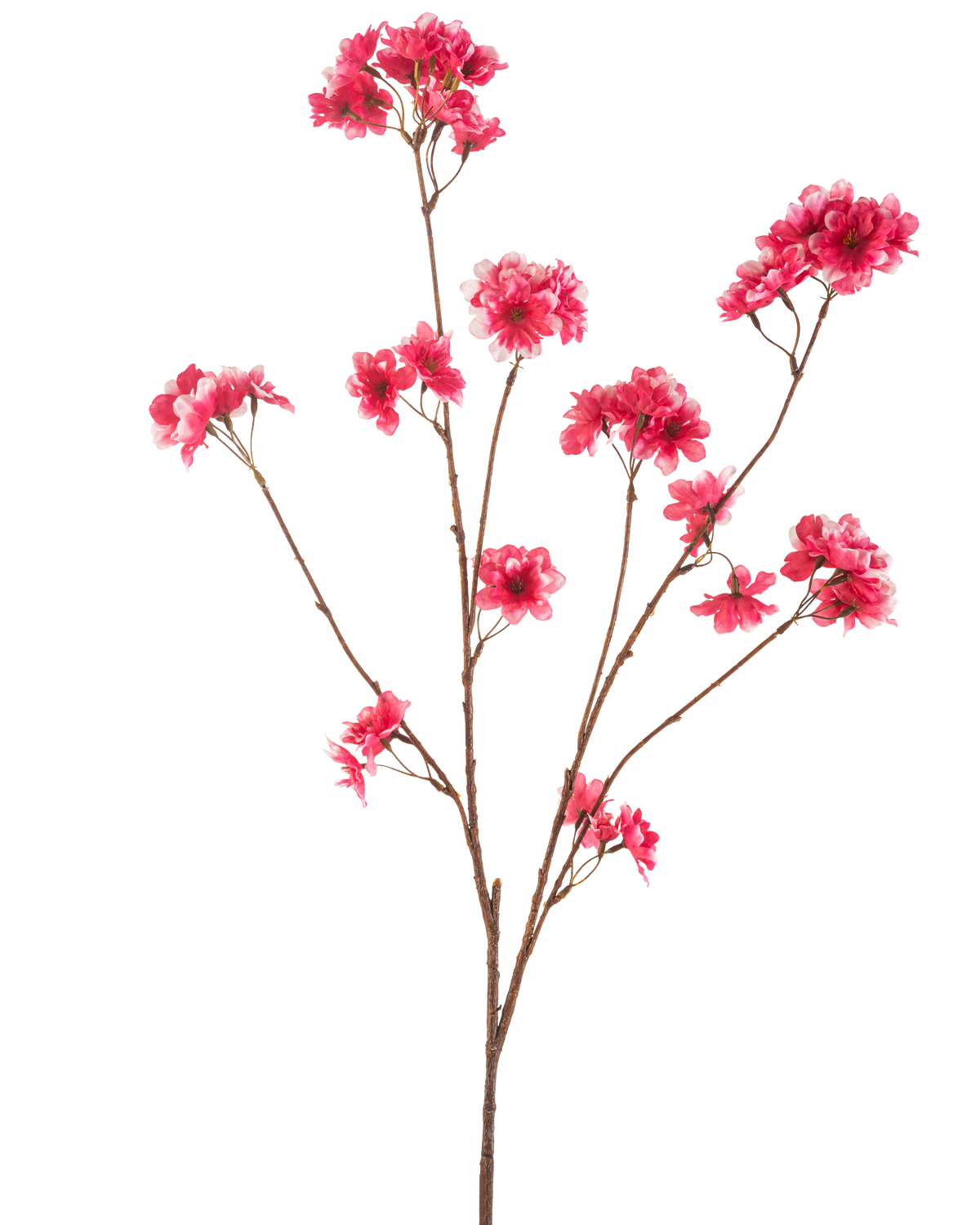 Il fiore artificiale di ciliegio fucsia da 114 cm mostra un singolo ramo marrone con più steli, ciascuno con grappoli di vivaci fiori di Natale artificiali fucsia su un semplice sfondo bianco.