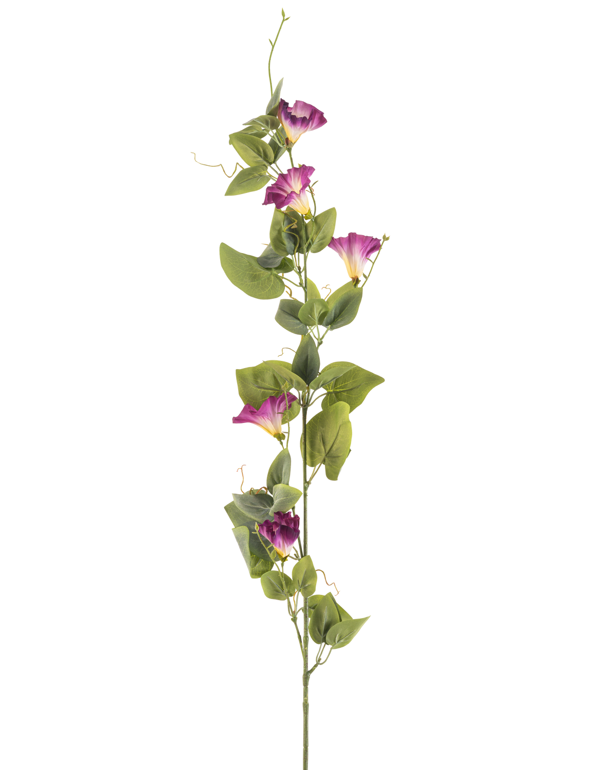 Il fiore artificiale del convolvolo color malva da 122 cm ha un unico stelo verde alto con molteplici fiori color malva e ipomea bianchi e foglie verdi lungo la sua lunghezza, su uno sfondo bianco.