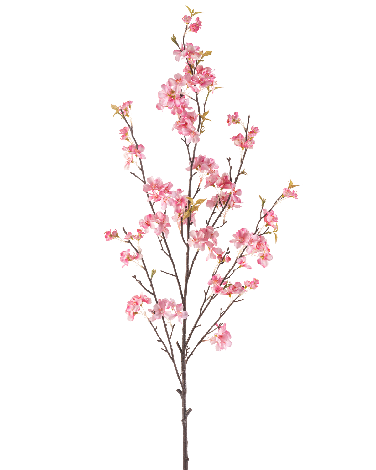 Il fiore artificiale di ciliegio rosa 150 cm ha un unico ramo marrone con più steli sottili, decorato con mazzi di delicati fiori di ciliegio rosa e alcune foglie verdi, isolate su uno sfondo bianco.