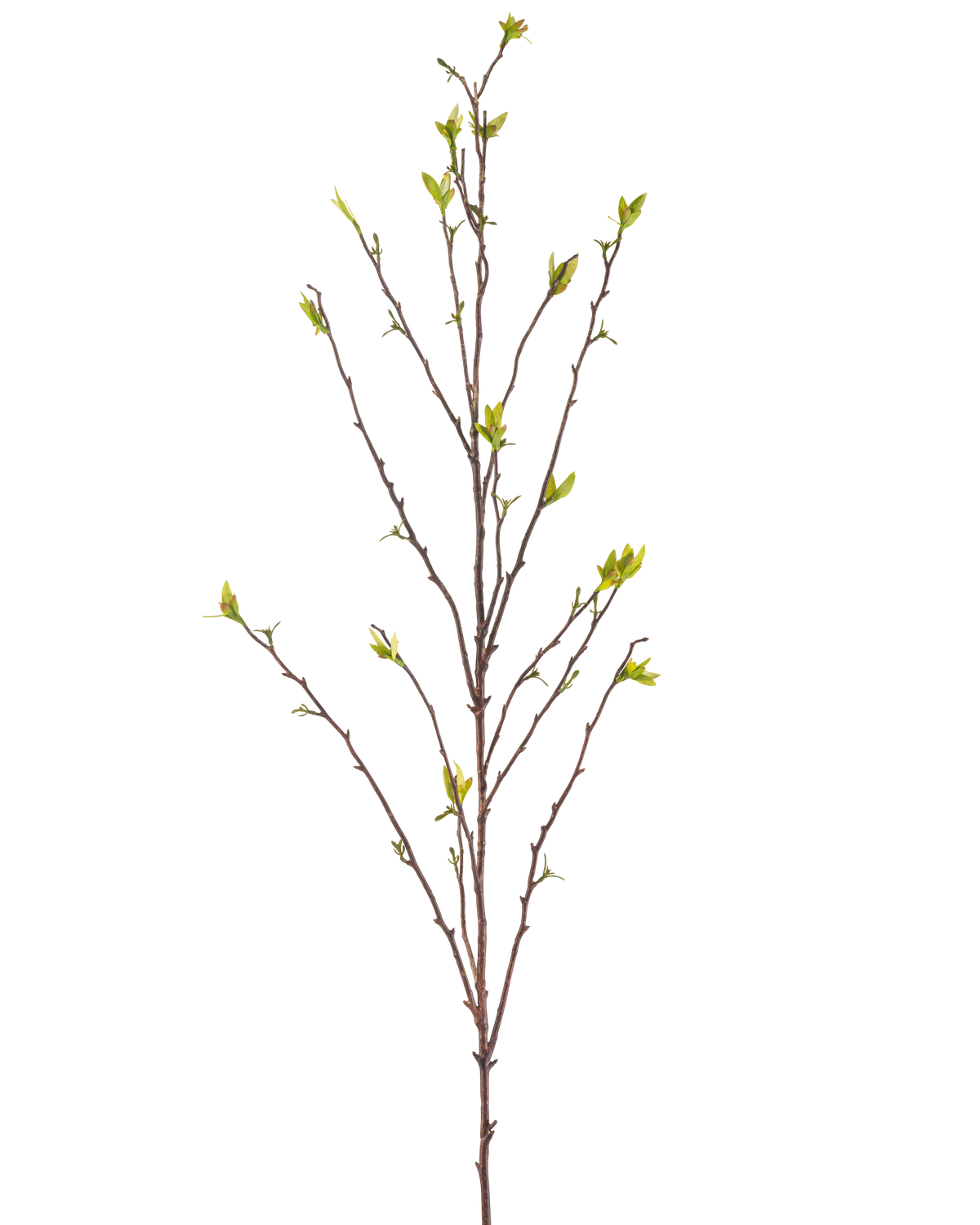 Il Ramo Artificiale Winterzoet 107 cm verde ha un unico ramo spoglio con rami sottili e piccole foglie verdi alle estremità, su uno sfondo bianco uniforme.