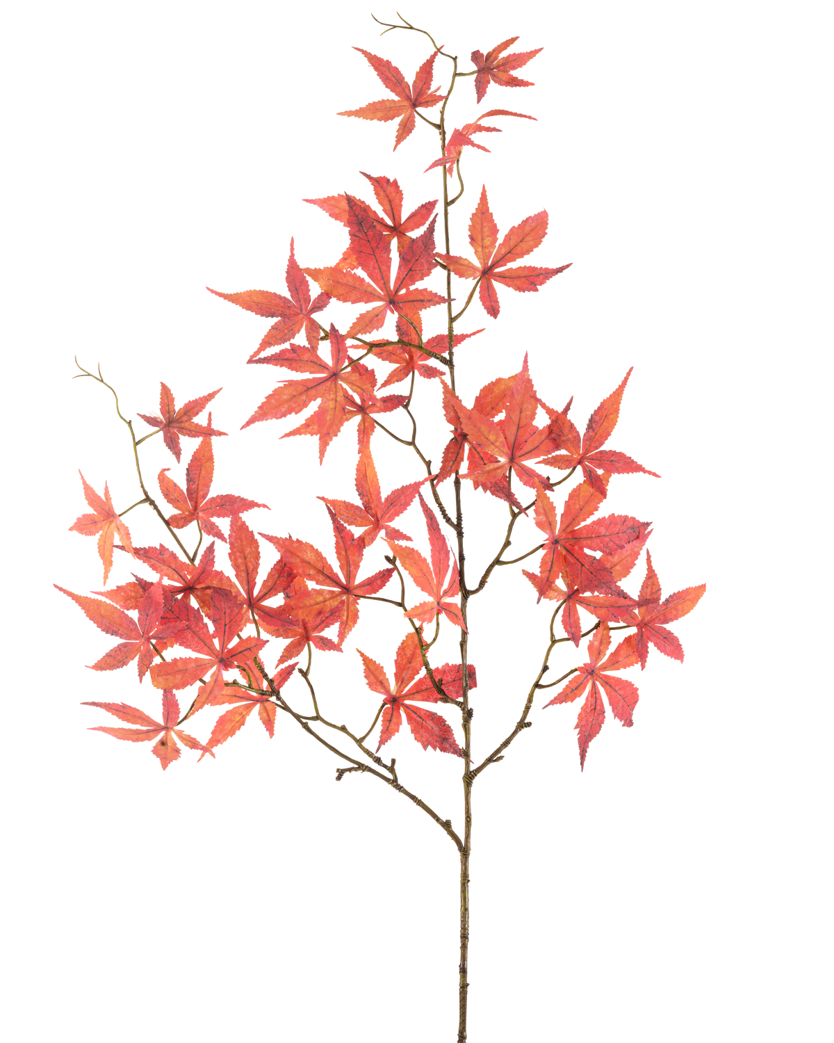 Il fiore artificiale foglia d'acero rosso da 109 cm ha molteplici rami sottili decorati con foglie d'acero rosse vivaci a forma di stella, splendidamente esposte su un semplice sfondo bianco.
