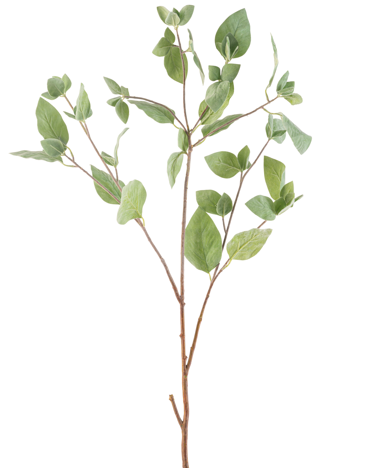 Il ramo artificiale a foglia di menta verde da 97 cm ha diversi steli sottili con foglie ovali verdi su uno sfondo bianco semplice.