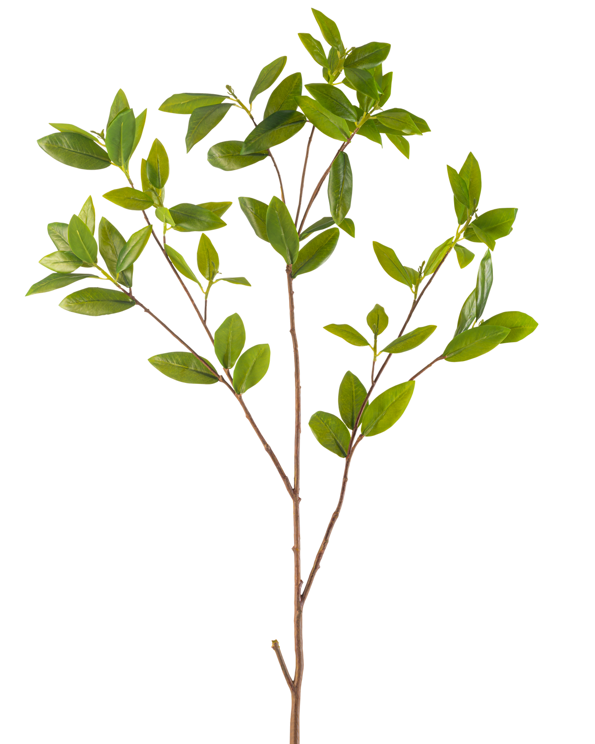 Il ramo artificiale con foglie verdi da 117 cm ha un ramo artificiale sottile con molteplici germogli, ciascuno con mazzi di foglie verdi lisce, su uno sfondo bianco semplice.