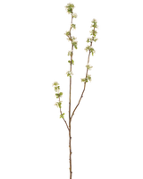 La scatola per semi di rami artificiali color crema da 104 cm ha un singolo ramo marrone con piccole foglie verdi e mazzi di piccoli fiori bianchi su uno sfondo bianco semplice.