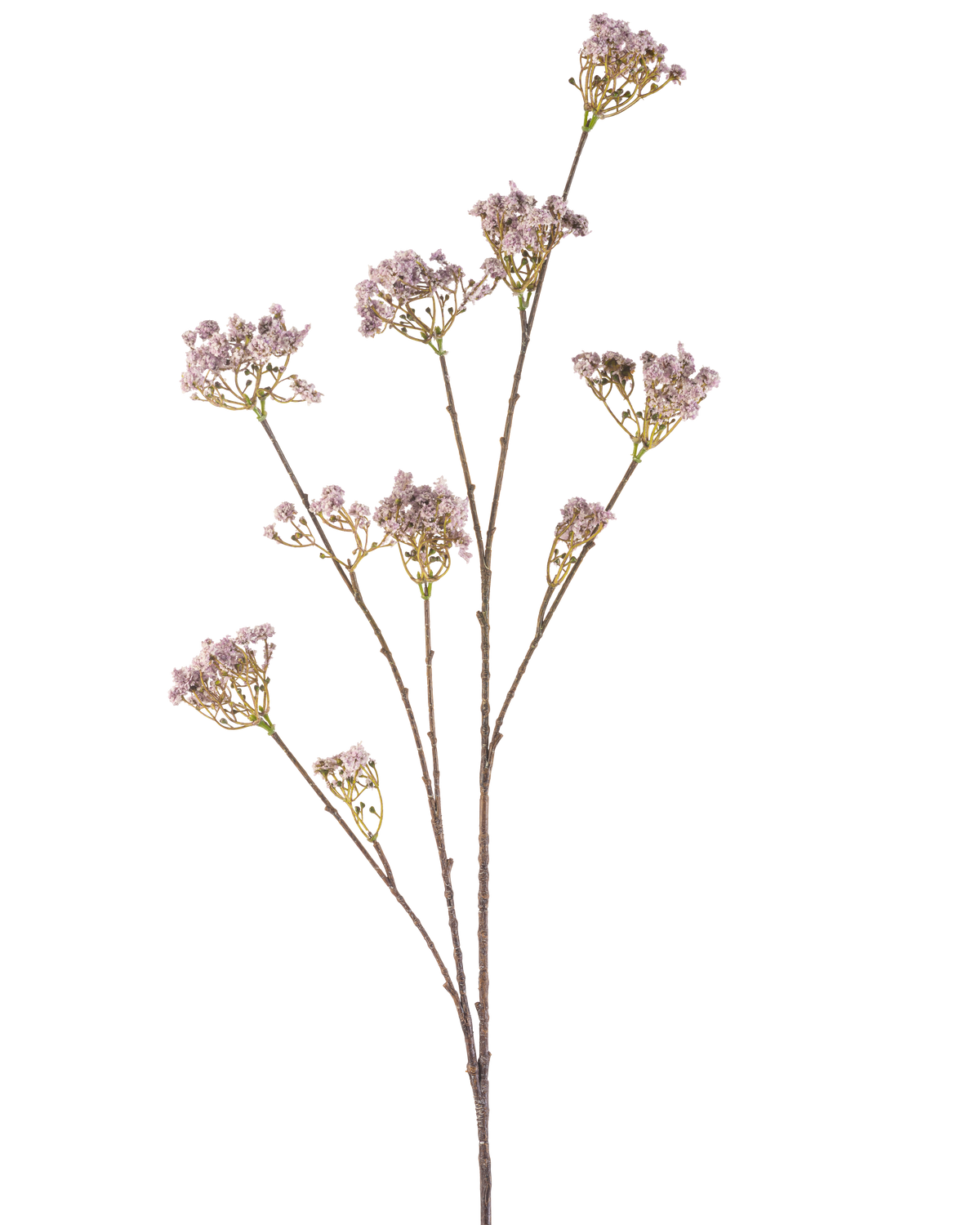 Il fiore artificiale Baby's Breath 112 cm lilla ha uno stelo sottile con più rami, ciascuno decorato con mazzi di delicati fiori viola chiaro, su uno sfondo bianco a tinta unita.